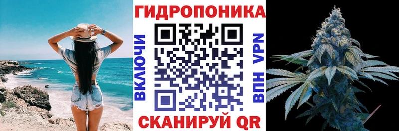 Бошки Шишки AK-47  kraken как зайти  Семилуки  что такое  